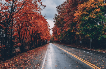 2023λ
λ¨νμκΈ° μμΈ‘μ§λ