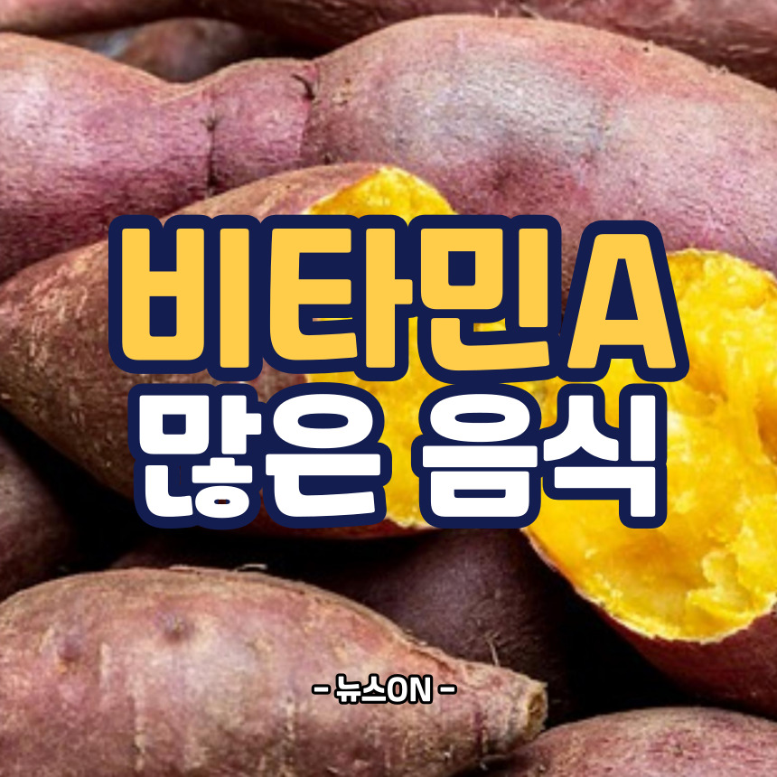 비타민A가 많은 음식
