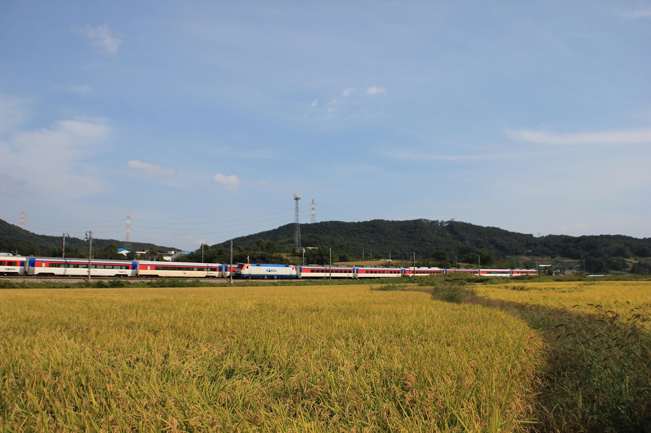 무궁화호 예약 꿀팁 총정리 🚆