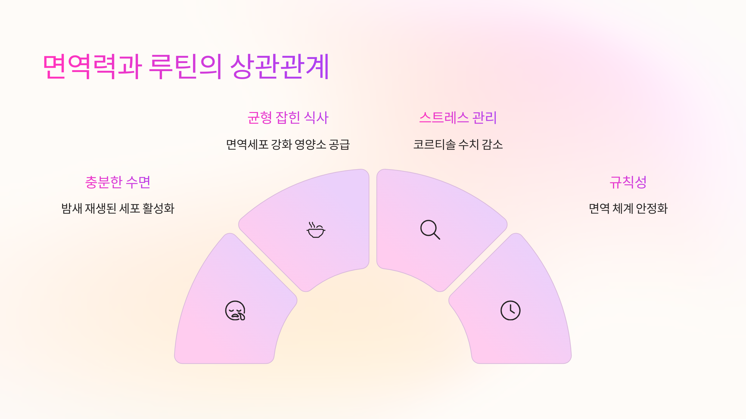 🛡️ 면역력과 루틴의 상관관계
