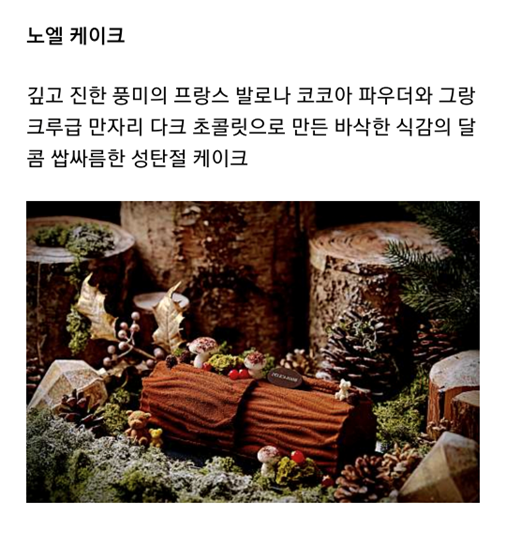 델리카한스 노엘 케이크