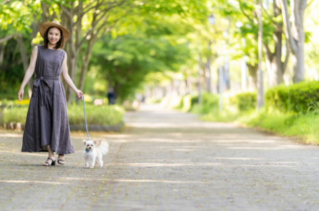 산책하는 개와 주인