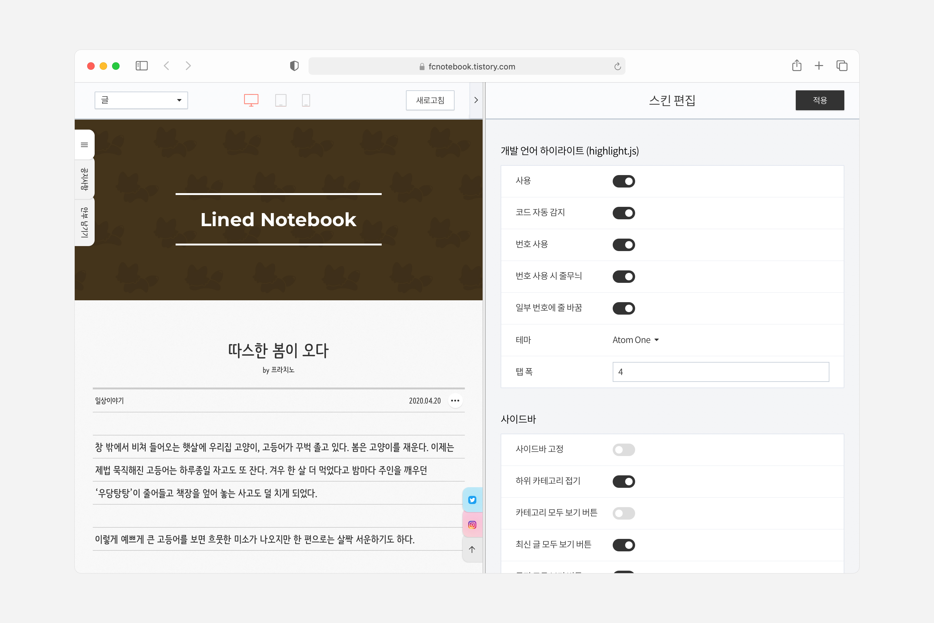 스킨 옵션의 개발 언어 하이라이트 항목