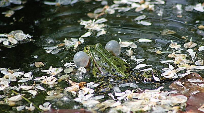 1. 건설업계의 전반적인 현황