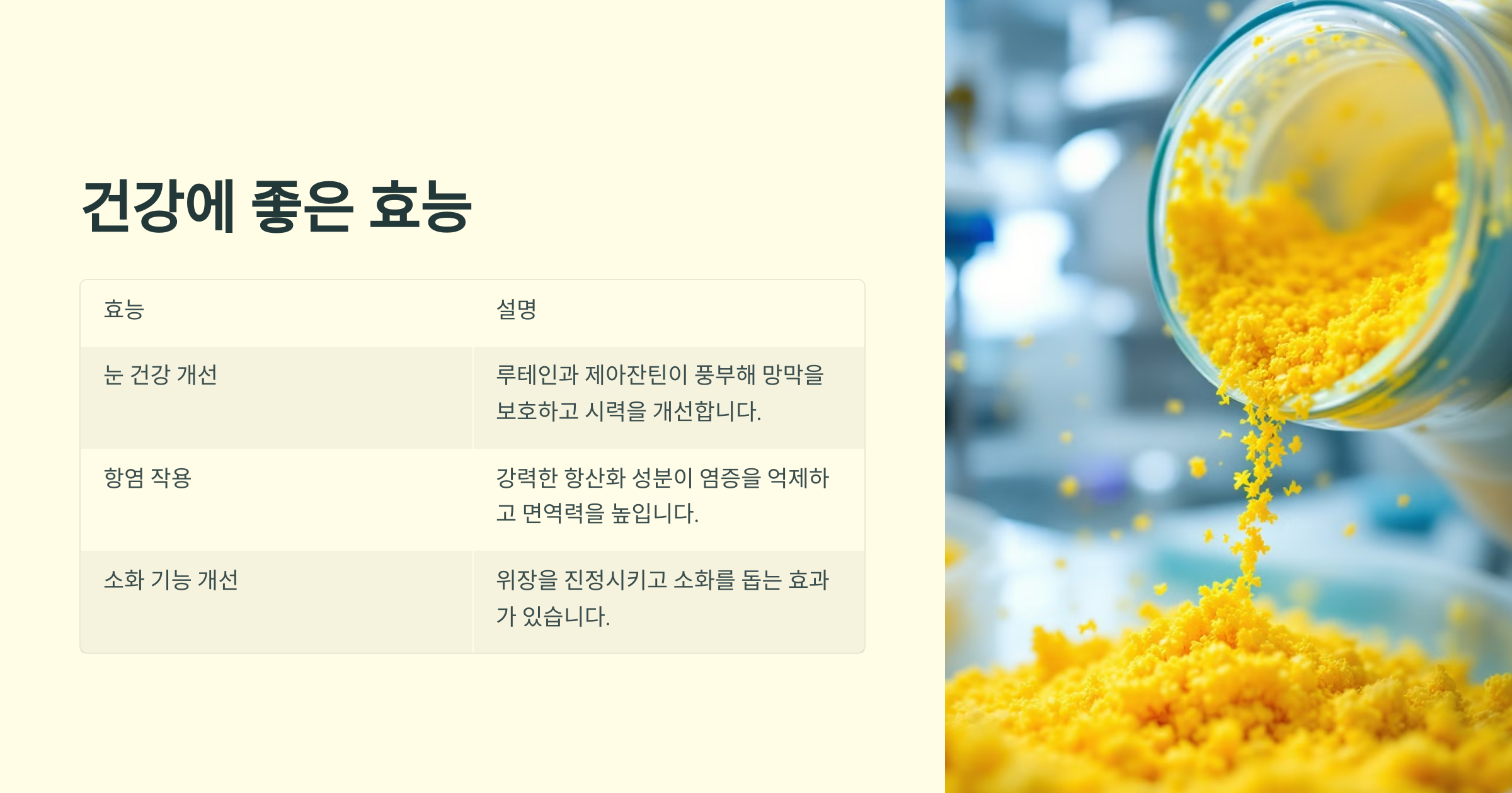 메리골드 잉카 꽃