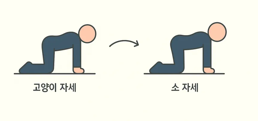허리 협착증에 좋은 운동