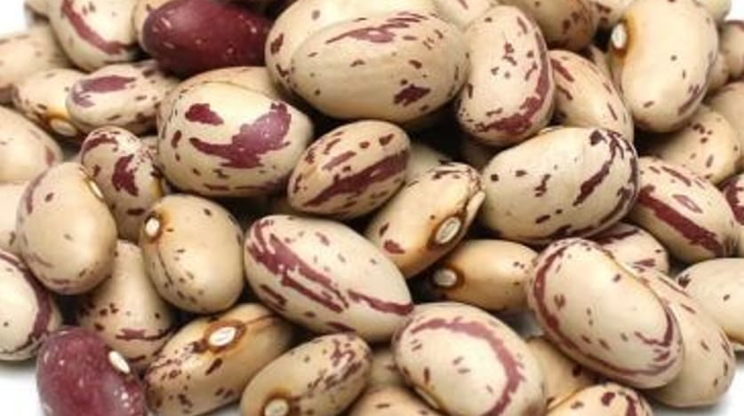 호랑이콩 효능의 호랑이콩2