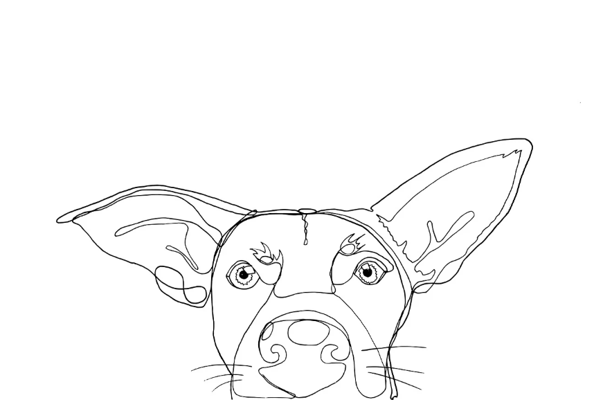 러시아의 머리만 살아있는 개 실험 – 생명을 조종하려는 인간의 야망