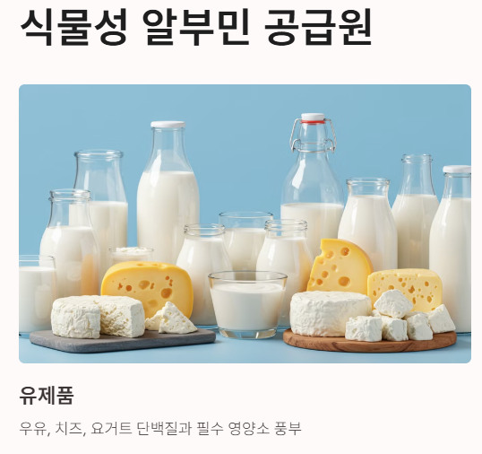 알부민이 풍부한 음식 유제품