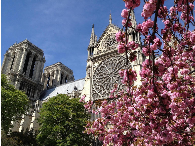 봄 파리에 핑크빛이 내려요 – 4월의 프랑스 여행 코스 추천