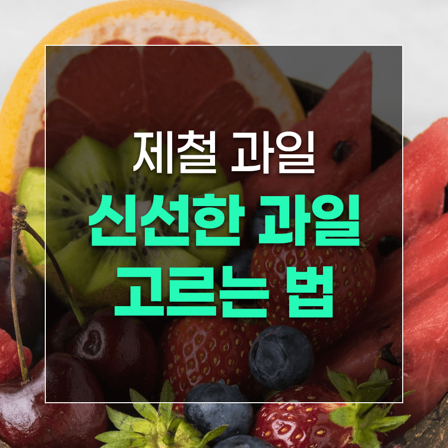 제철 과일 신선한 과일 고르는 법