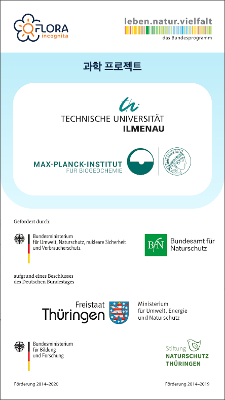 꽃 이름 찾기 어플(Flora Incognita), 꽃의 사진을 찍어 꽃의 이름 알아보기
