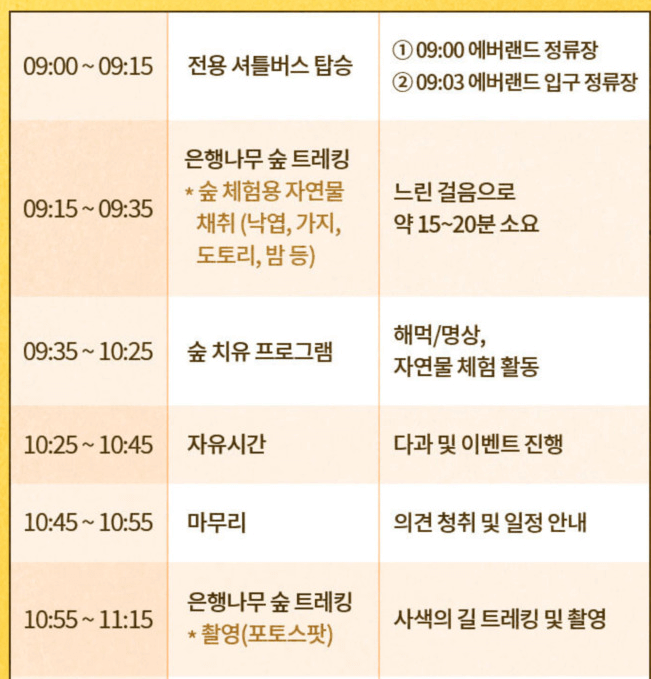  에버랜드 은행나무 숲