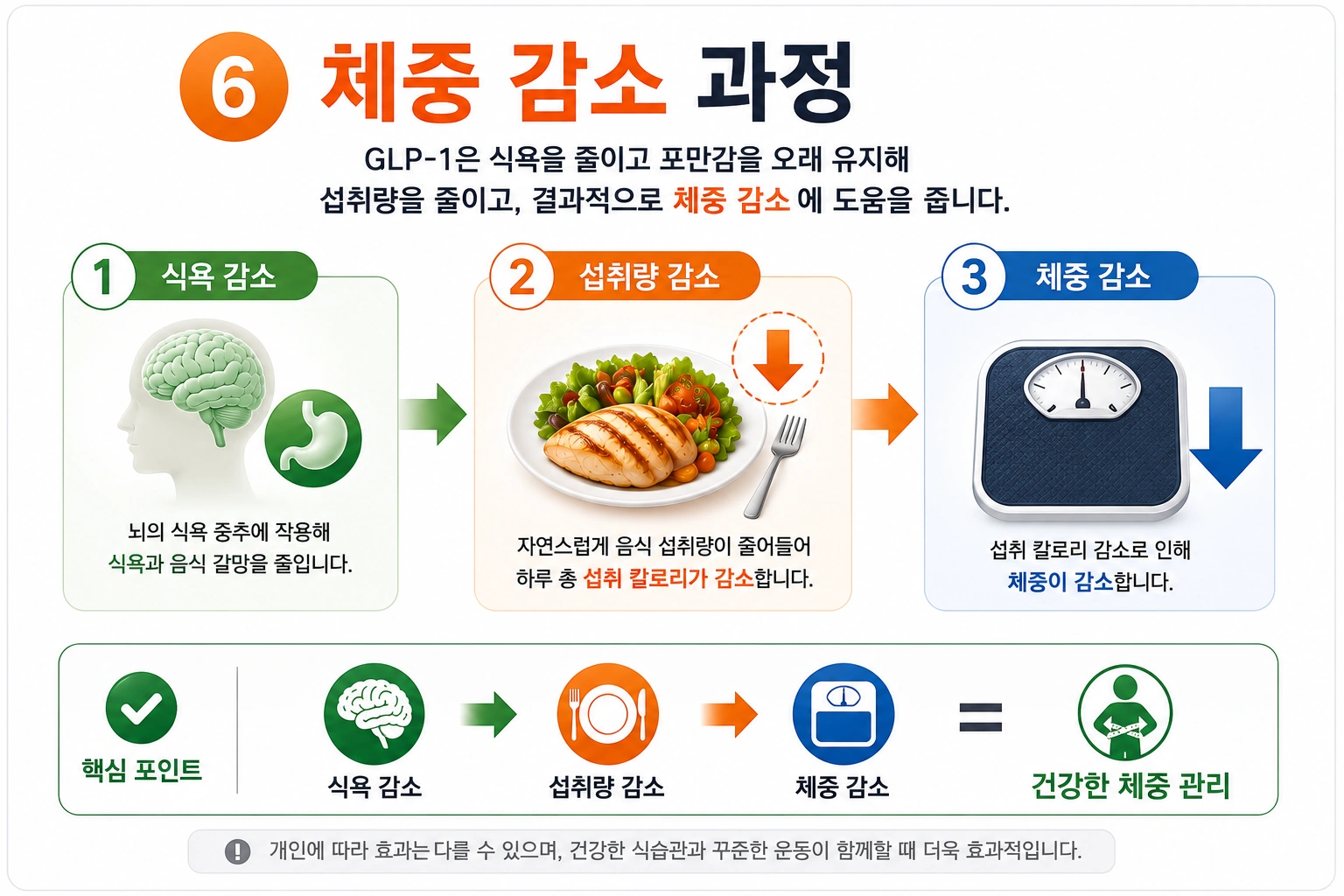체중-감소-과정