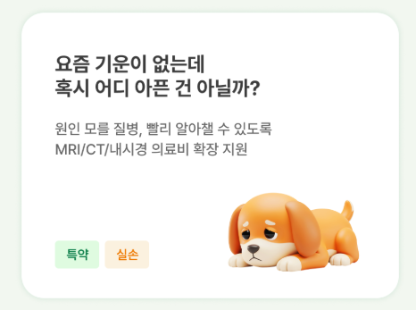 펫블리-사진6
