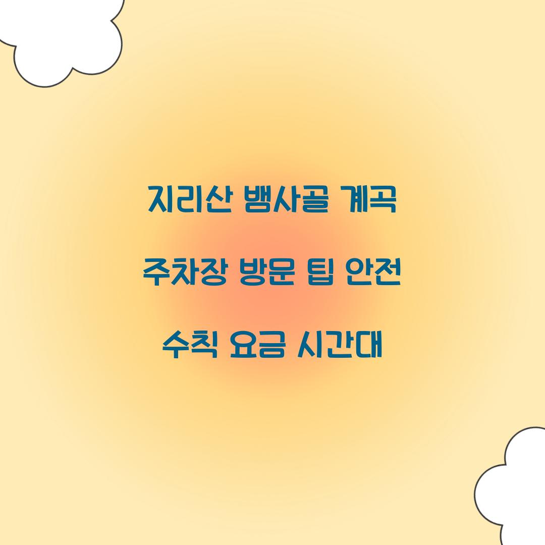지리산 뱀사골 계곡 주차장