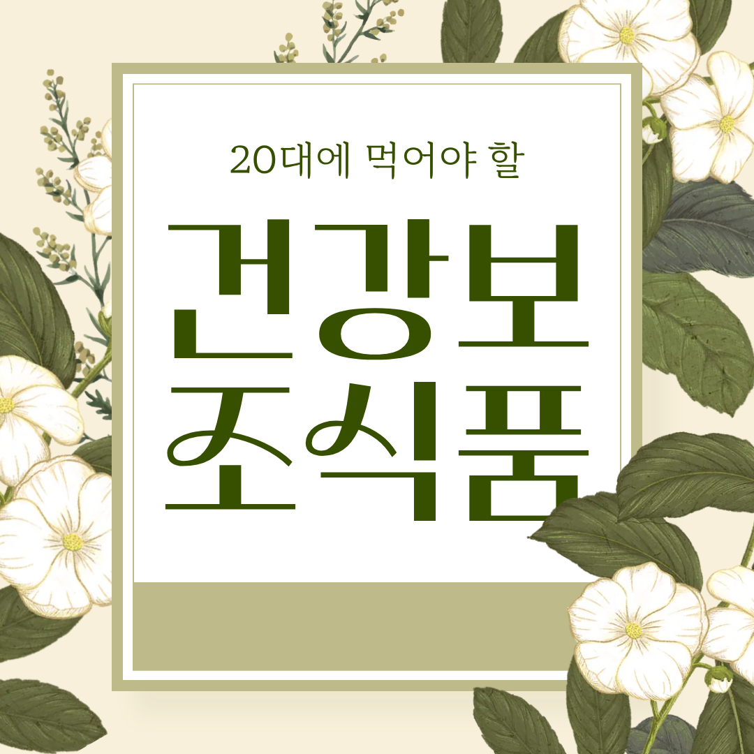 20대 필요한 건강보조식품 추천