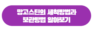 망고스틴