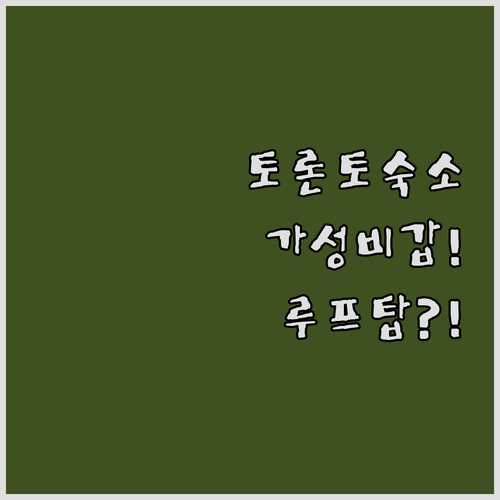 캐나다 토론토 숙소 가성비 호스텔부터..