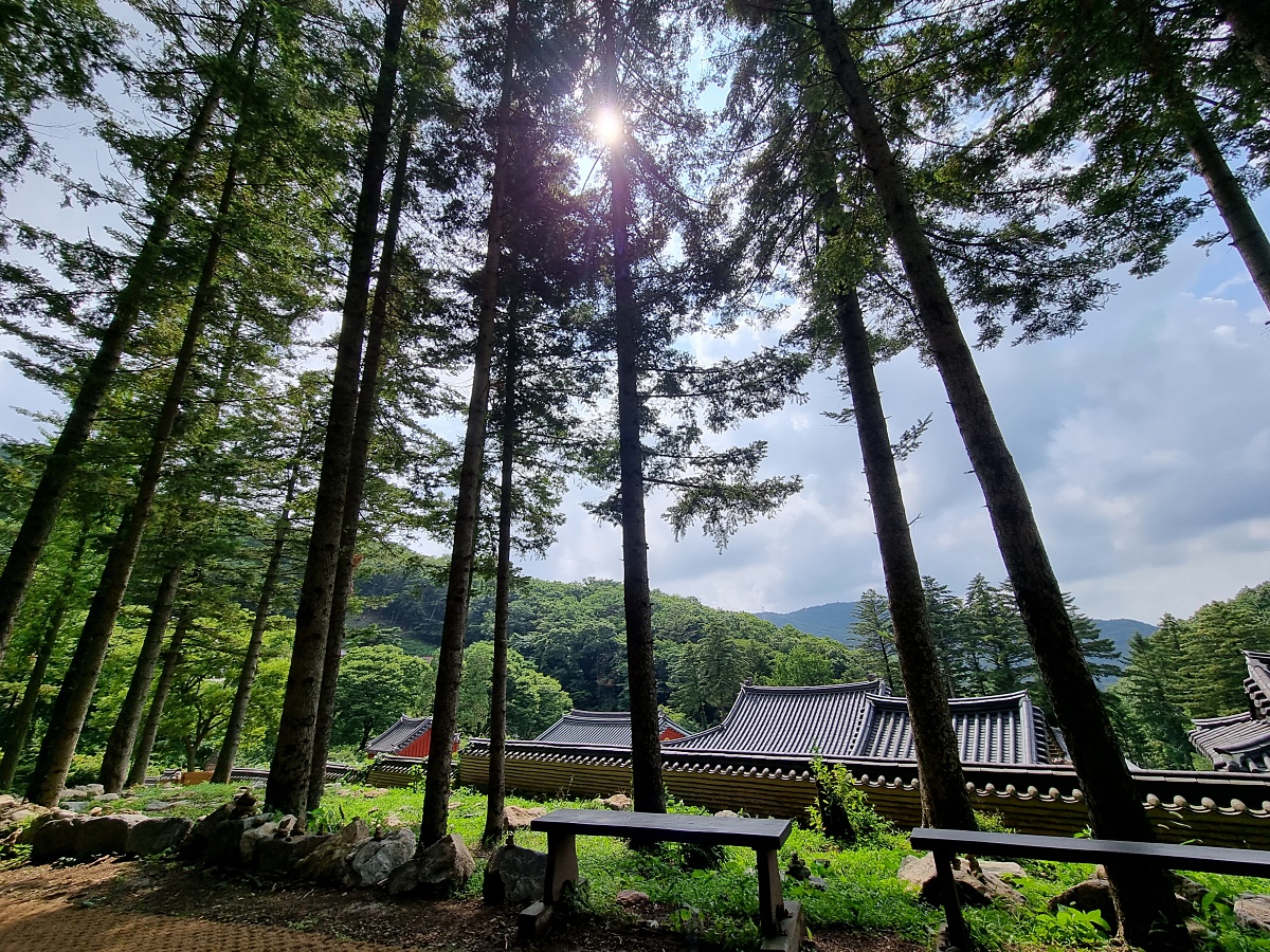 서울근교 파주 계곡 보광사: 문화&amp;#44; 역사&amp;#44; 자연이 있는 절과 물놀이하기 좋은 계곡