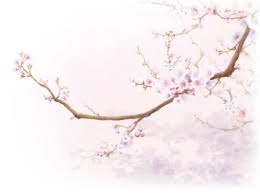 2025년 춘분 뜻 날짜, 의미