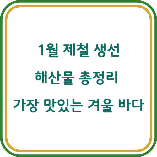 1월 제철 생선 해산물