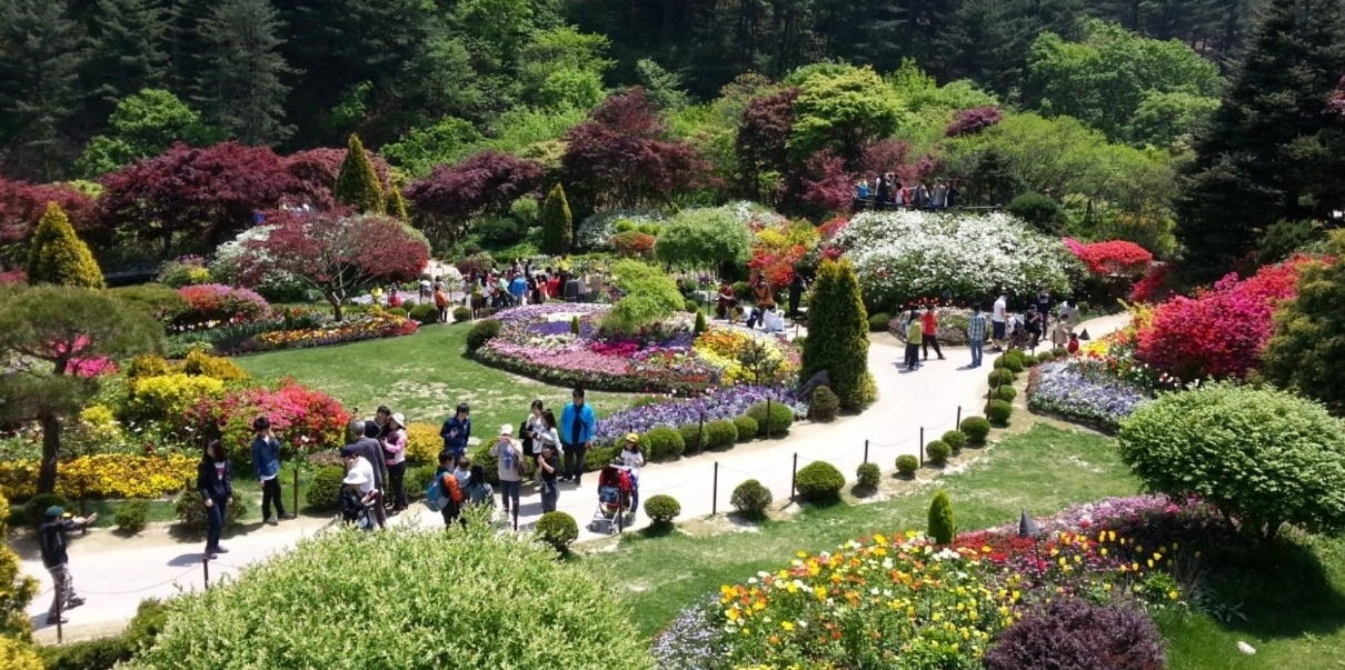 가평 하침고요 수목원 아침광장 이미지