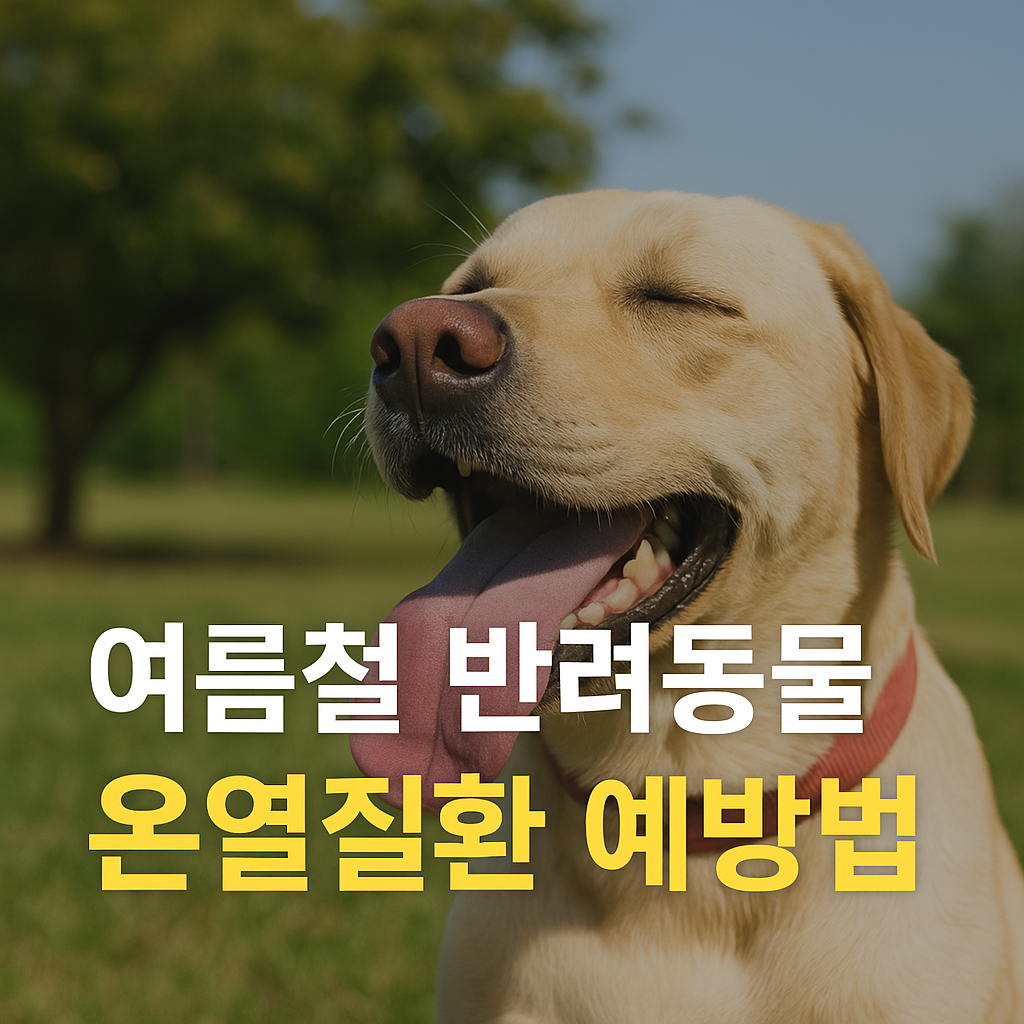 🐶 여름철 반려동물 온열질환 예방법 (2025년 최신 가이드)