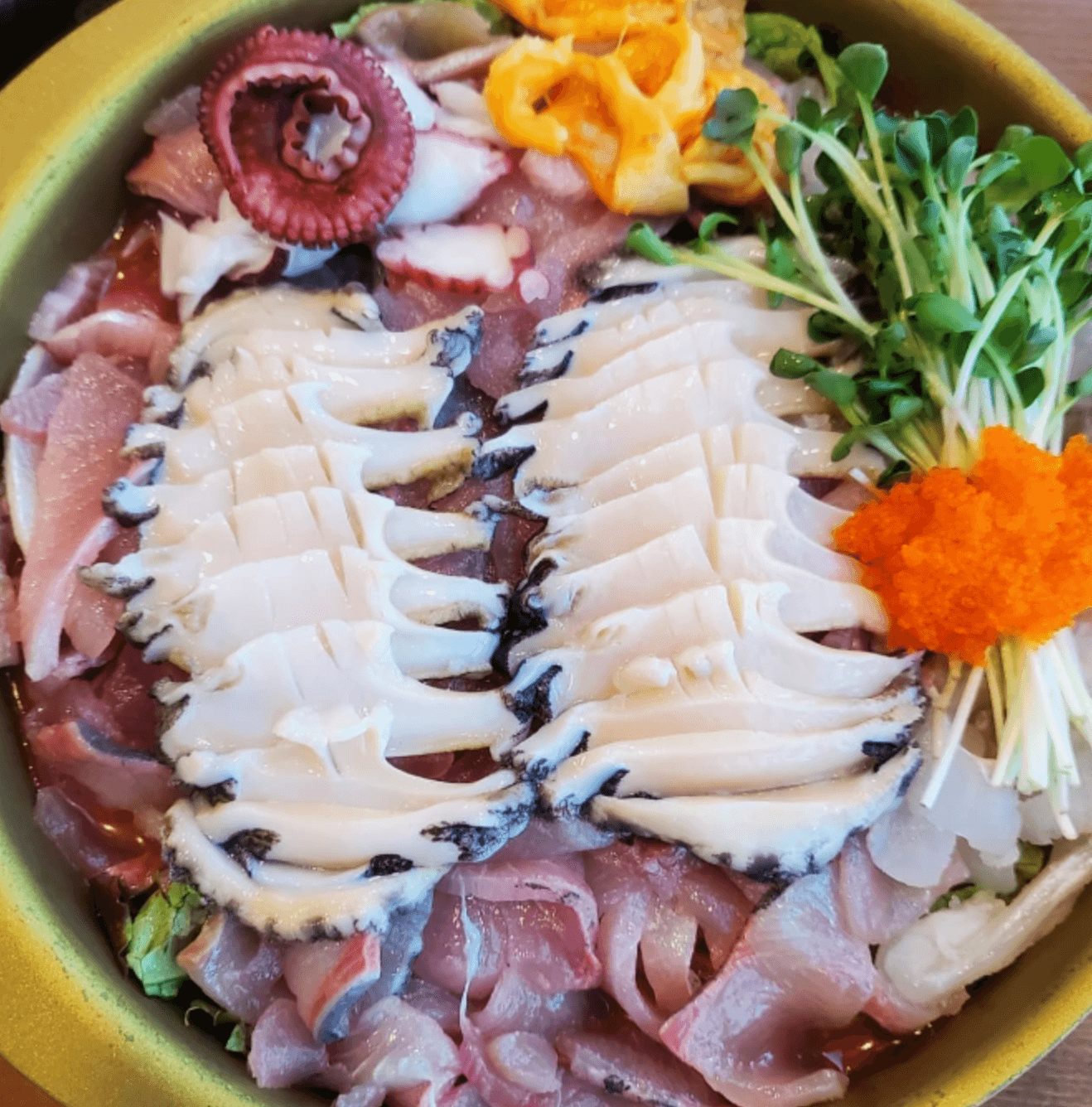 생방송-오늘-저녁-속초식-물회-식당-정보-위치-안내