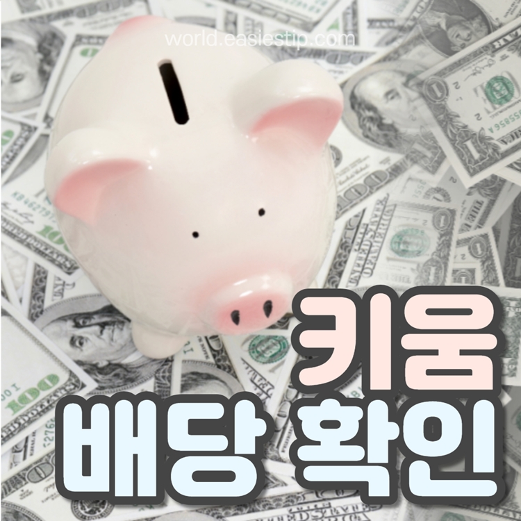 배당확인방법