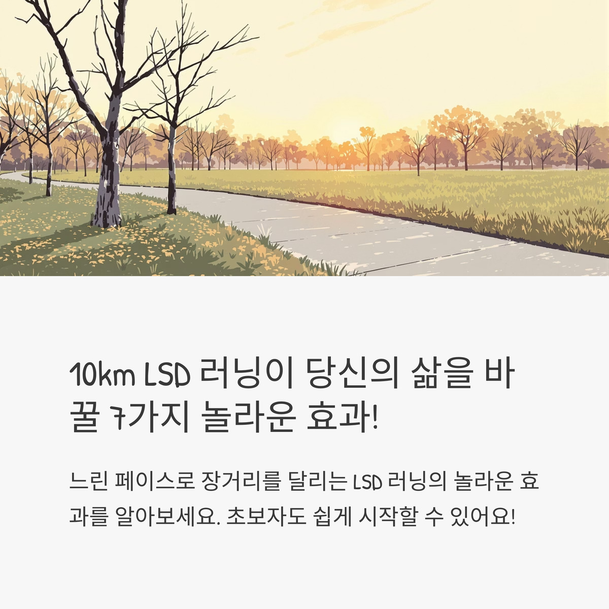 10km LSD 러닝이 바꾸는 삶