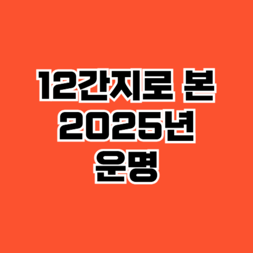 12간지로 본 운명