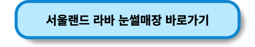 서울의 눈썰매장 (6)