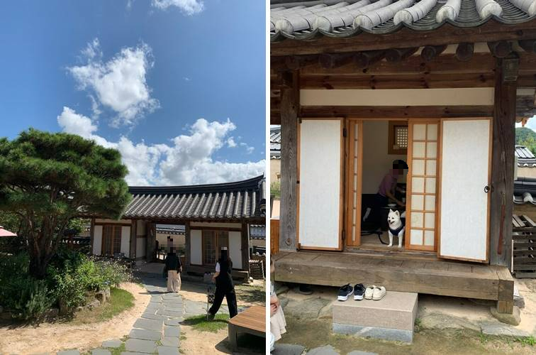 반려견 동반 별채