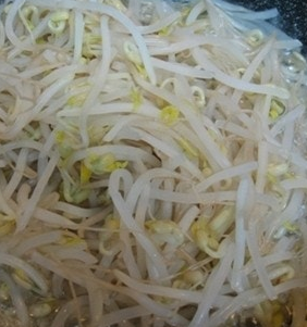 숙주나물의 효능 부작용 요리 고르는법