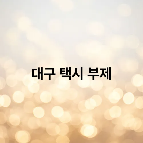 대구 택시 부제