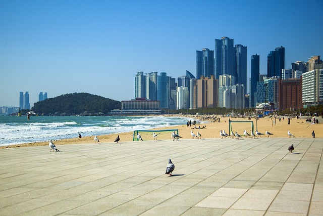 부산엑스포