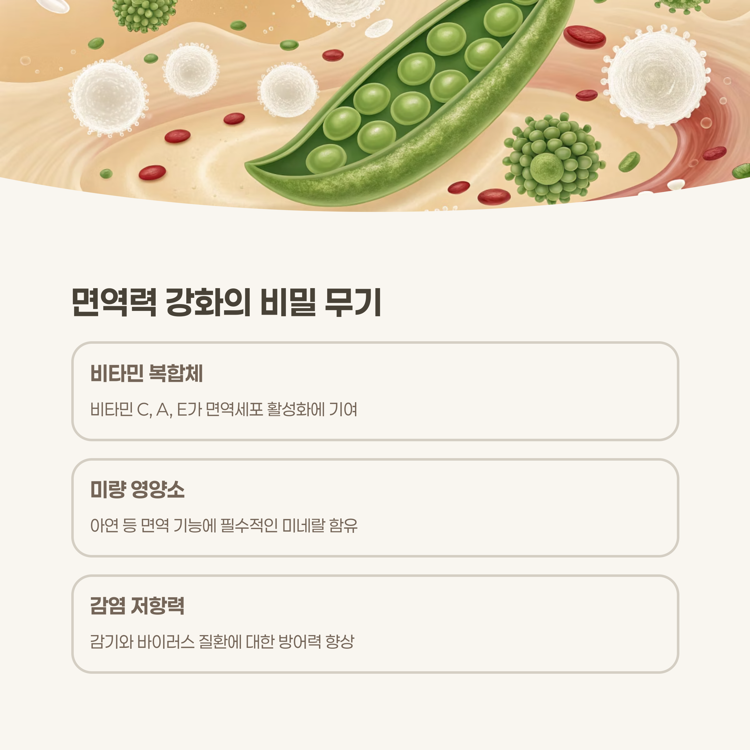 면역력 향상과 감염 예방