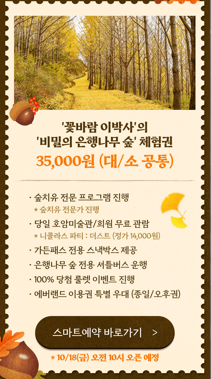 에버랜드 비밀의 은행나무 숲 예약 신청