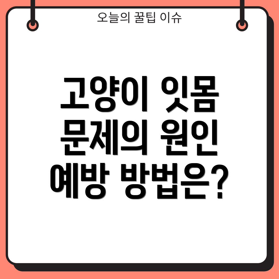 고양이 치과 질환