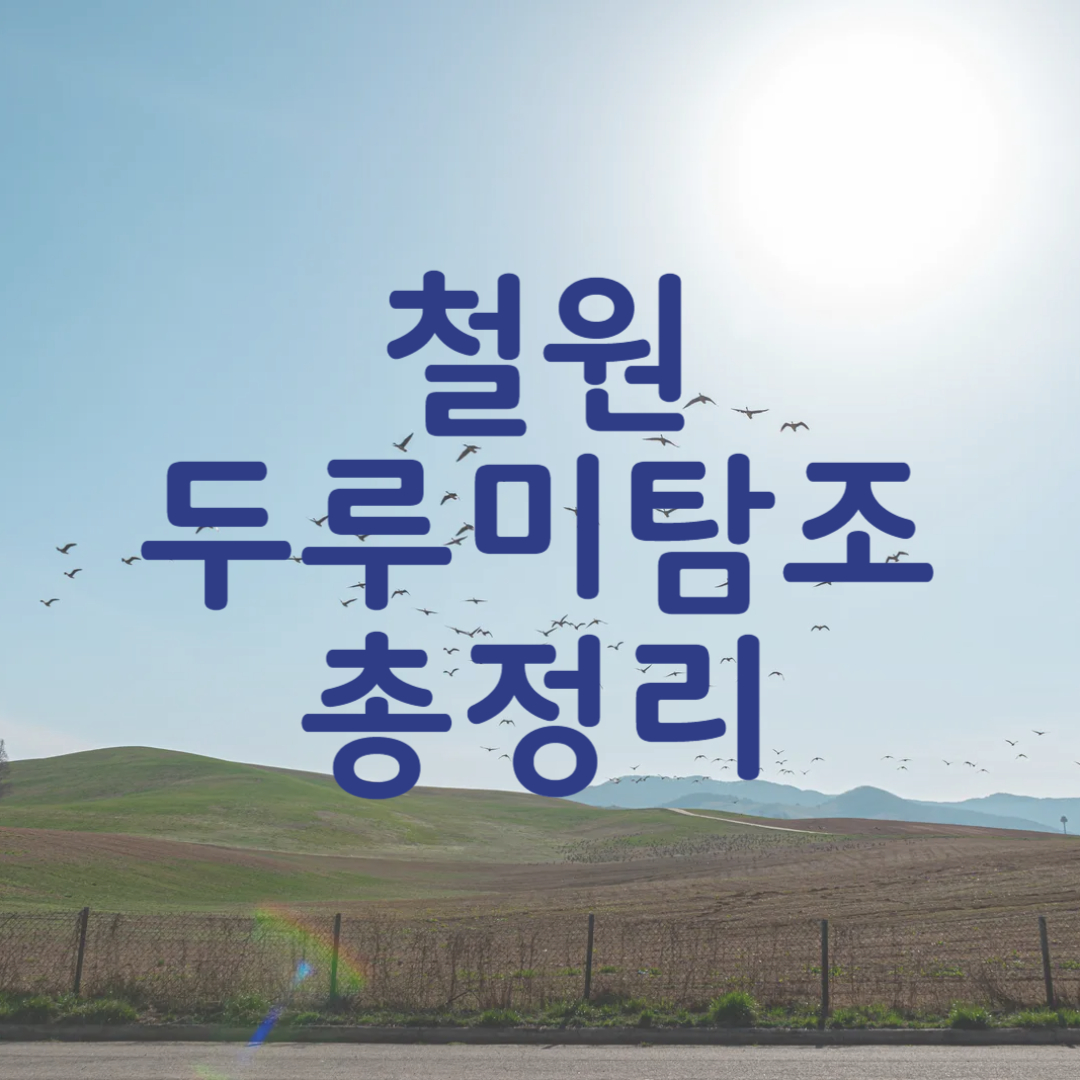 철원 두루미 탐조 방법 코스
