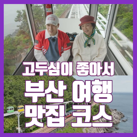 고두심이 좋아서