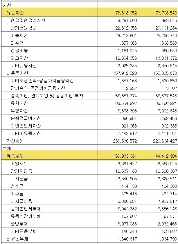 삼성전자 대차대조표