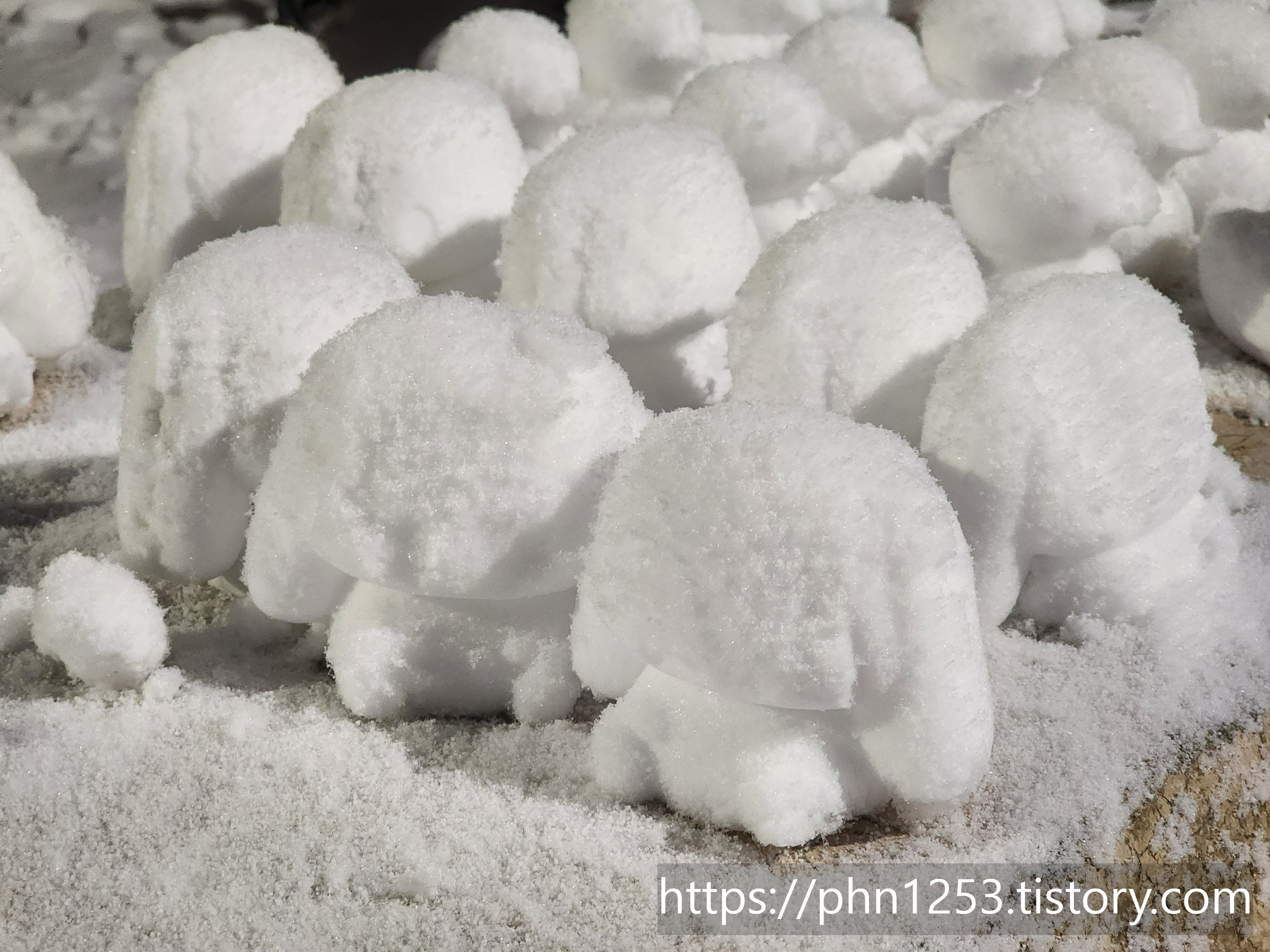 Alt 속성 문제 해결 설명 이미지