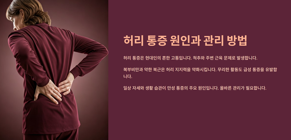 허리 통증의 주요 원인은 무엇일까?