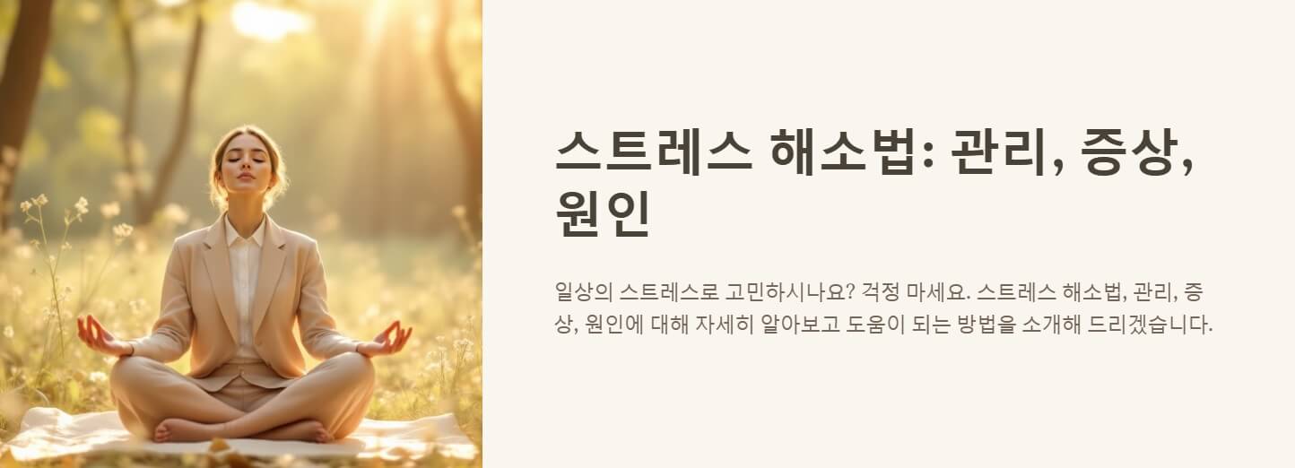 스트레스 해소법 관리 증상 원인