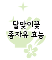 이 배너를 클릭 하시면 달맞이꽃종자유 효능 및 부작용 등에 관한 포스팅으로 이동 됩니다.