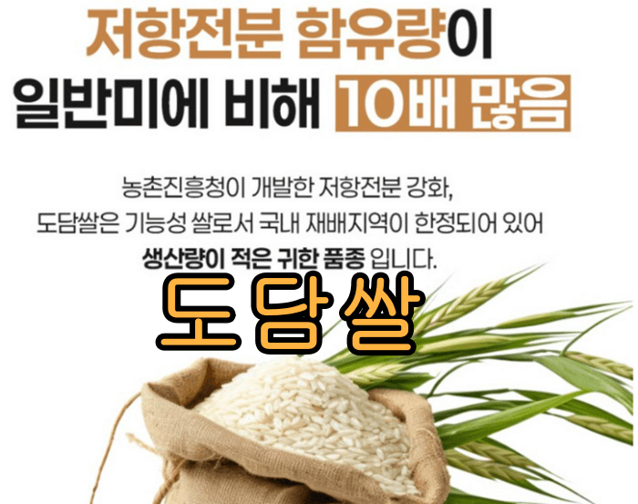 혈당_GI지수_낮은_ 쌀