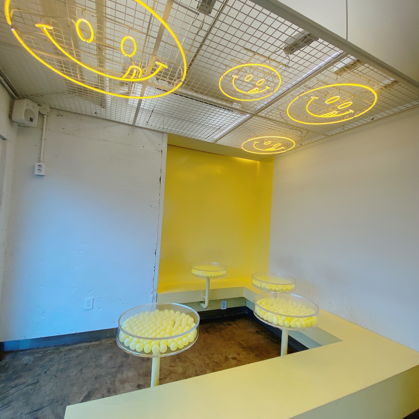 노티드 도넛 제주 애월 핫플레이스 우유크림 도넛 Knotted JEJU