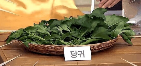 당귀 효능 10가지와 부작용 및 먹는 방법